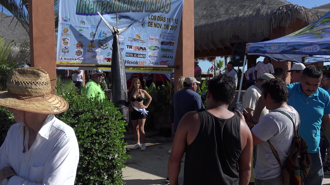 Crowd at a sunlit event entrance beneath a fishing banner.