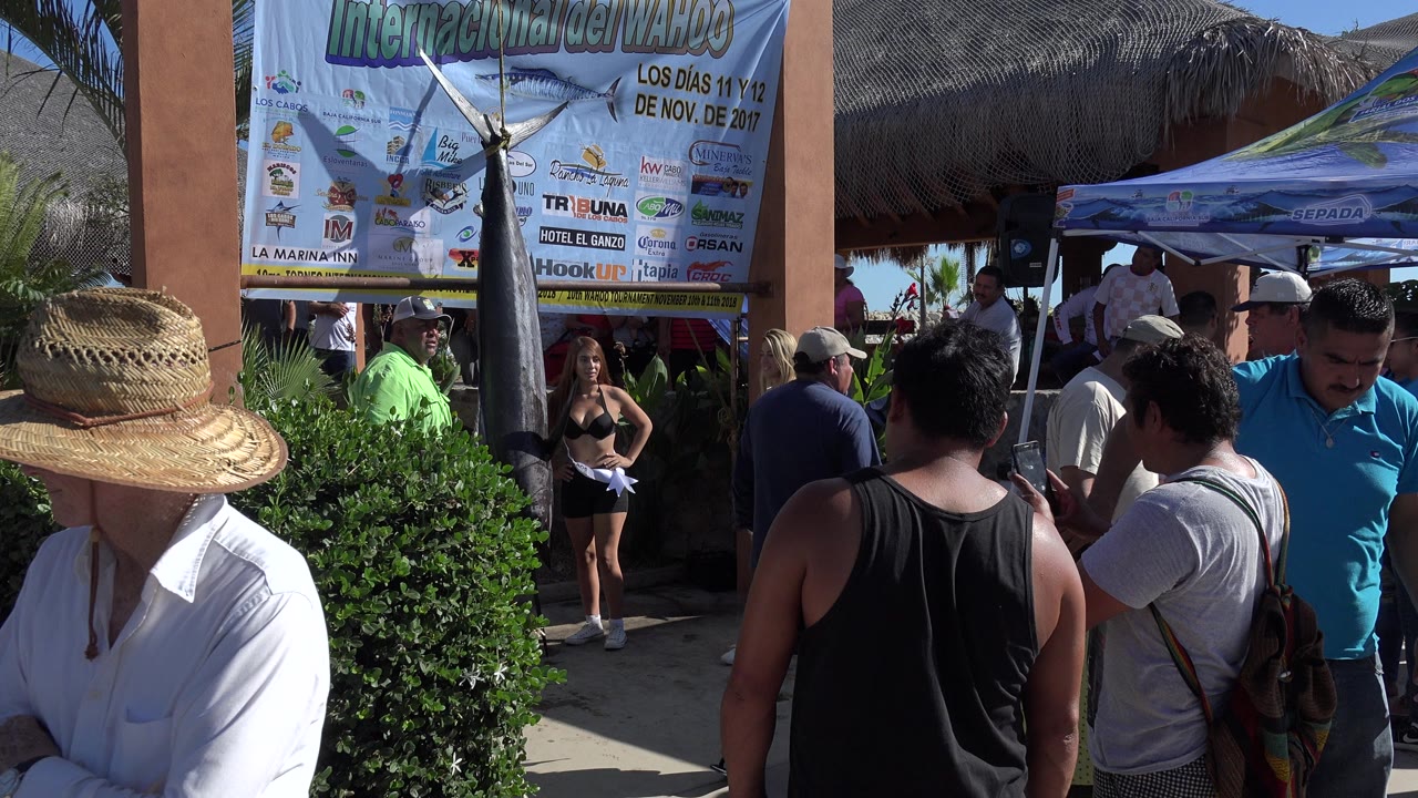 At 0:01, the Playita event entrance remains centered while attendees fill the walkway, with a blue canopy tent and sponsor-style banner graphics visible above them.