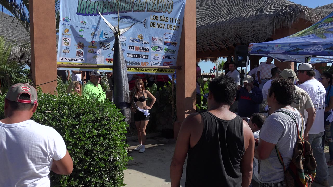 Crowd watching a young woman near a large event banner.