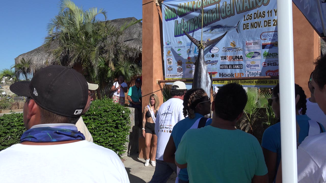 At 0:00 in Playita, Baja California Sur, Mexico, spectators seen from behind face a hanging shark, a large printed event banner, palms, and a thatched cottage roof.