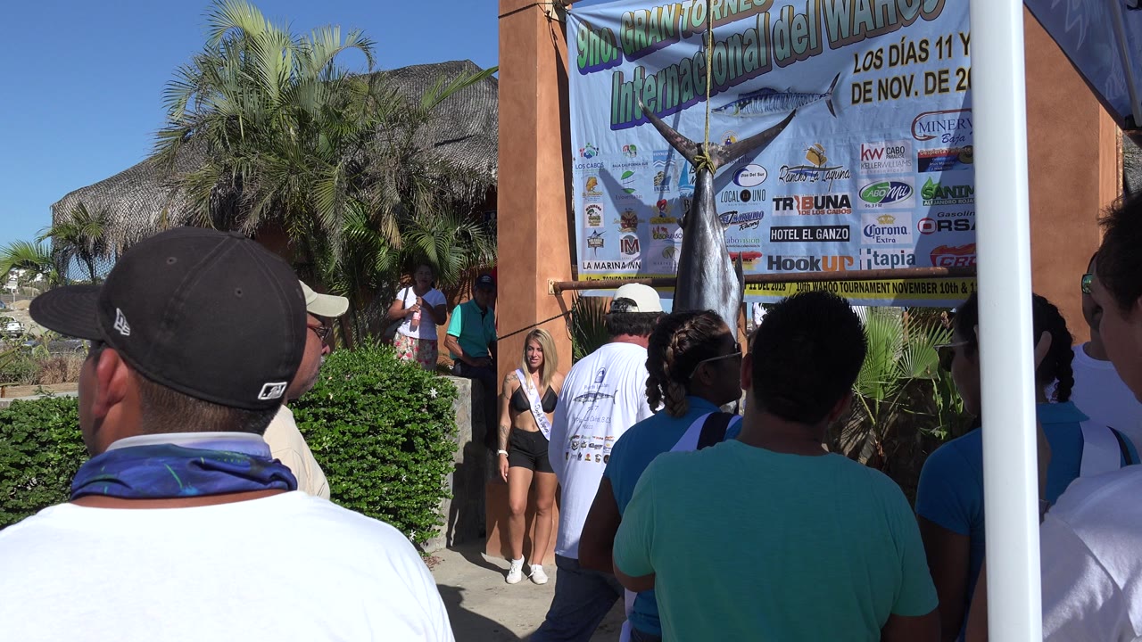 At 0:01 in Playita, the view remains behind spectators, with the hanging shark centered near a sponsor-covered banner and people gathered beside a thatched structure.