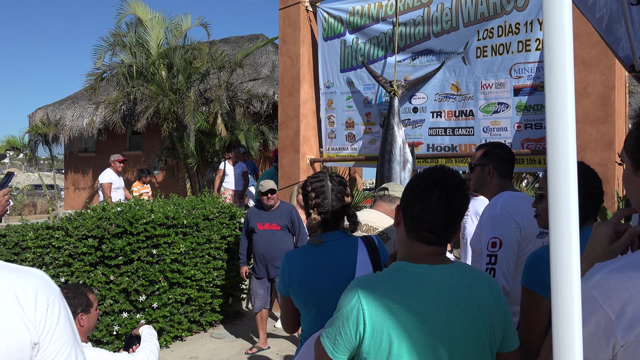 Crowd near a swordfish sculpture and event banner outdoors.