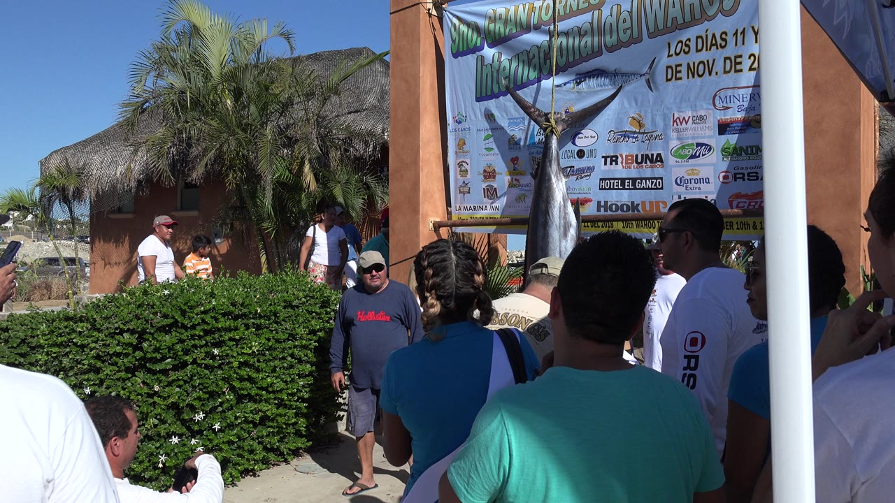 In Playita, Baja California Sur, the camera looks past spectators toward a tall swordfish sculpture mounted beside a sponsor-filled event banner in hard sunlight.