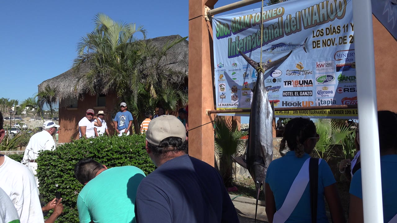 The Playita fishing festival banner and hanging fish display fill the right side while attendees stand around the entrance walkway under strong sunlight.