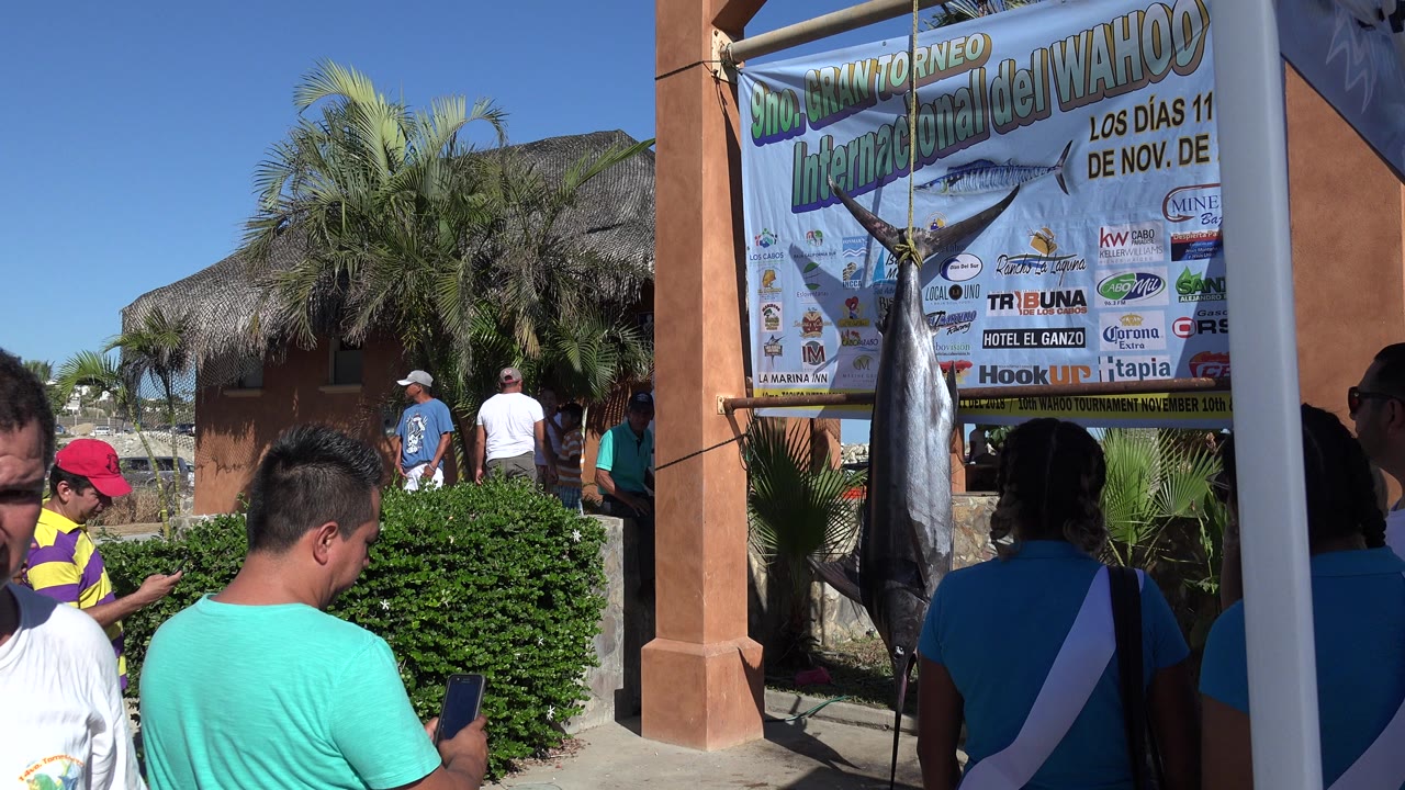 At the start of the Playita, Baja California Sur clip, visitors stand near a hedge while a large hanging fish and a printed event banner fill the right side of the frame.