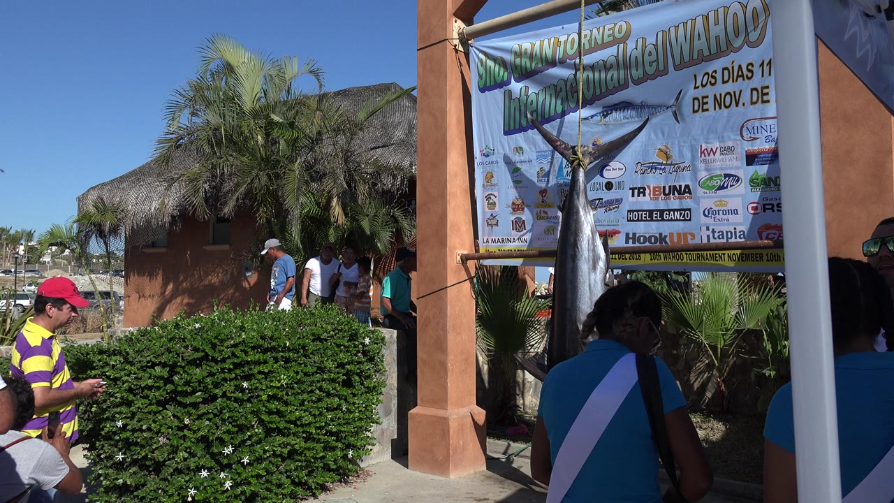Sunny walkway with shrubs, palms, people, and fishing tournament banner
