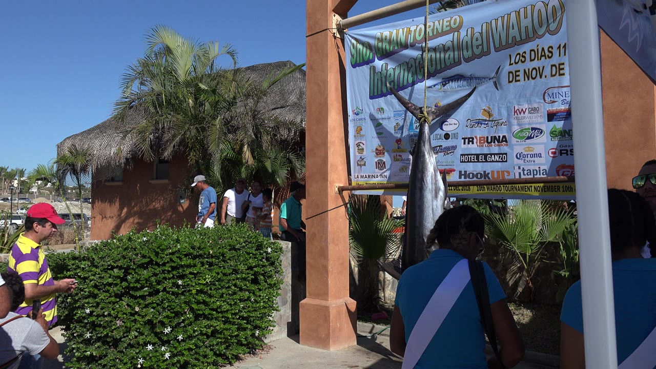 The Playita frame holds on the banner with a large fish graphic while people stand and walk near dense shrubs, palms, an orange wall, and a white foreground post.