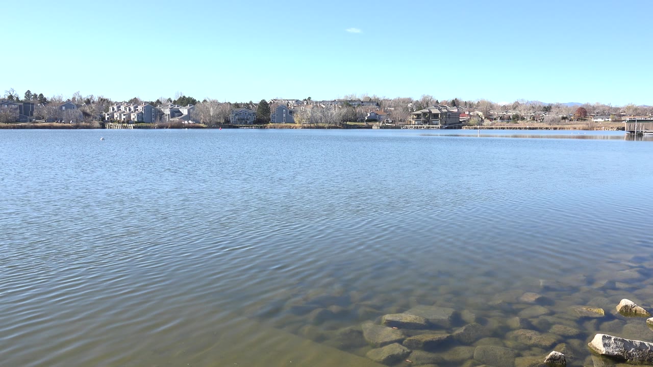 Calm lake water, rocks below the surface, bare trees, and distant shoreline houses under clear sky.
