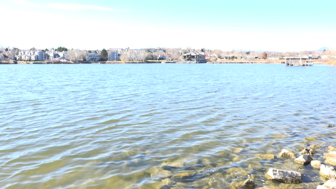 Rippling lake water with rocks and distant shoreline buildings.