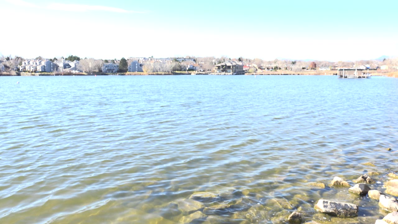 Rippling lake water with submerged rocks and a distant residential shoreline.