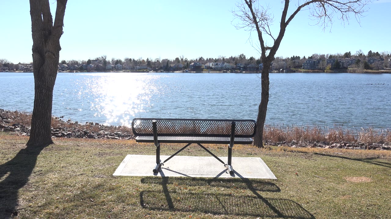 Park bench framed by two trees beside a bright lake.