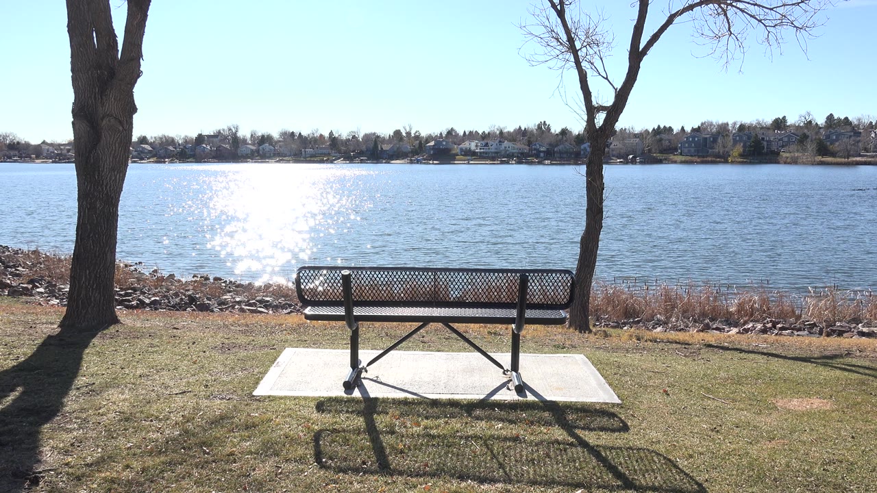 Opening view of a bench on a concrete pad beside Hidden Lake, Colorado, with bright water glare, bare tree trunks, dried shoreline grass, distant buildings, and no visible people.