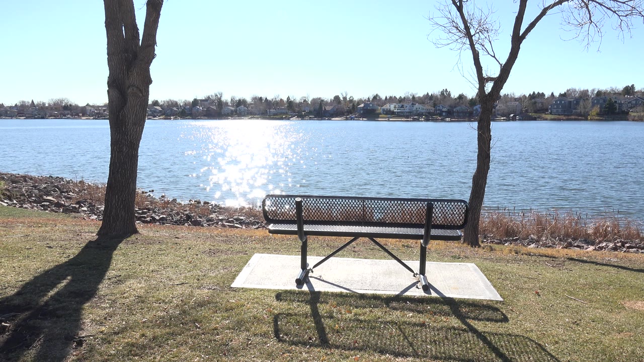 Bench facing a lake with trees and bright sun reflection on the water.