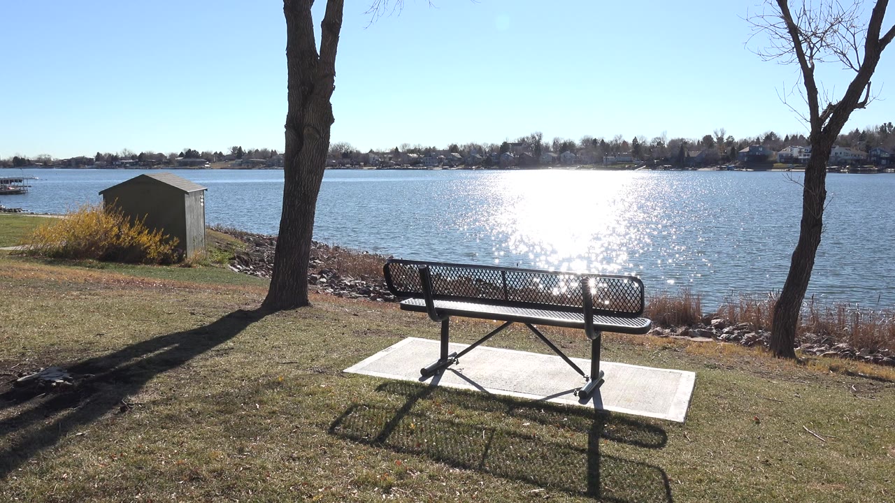 Bench beside a sunlit lake with trees and a small shed.