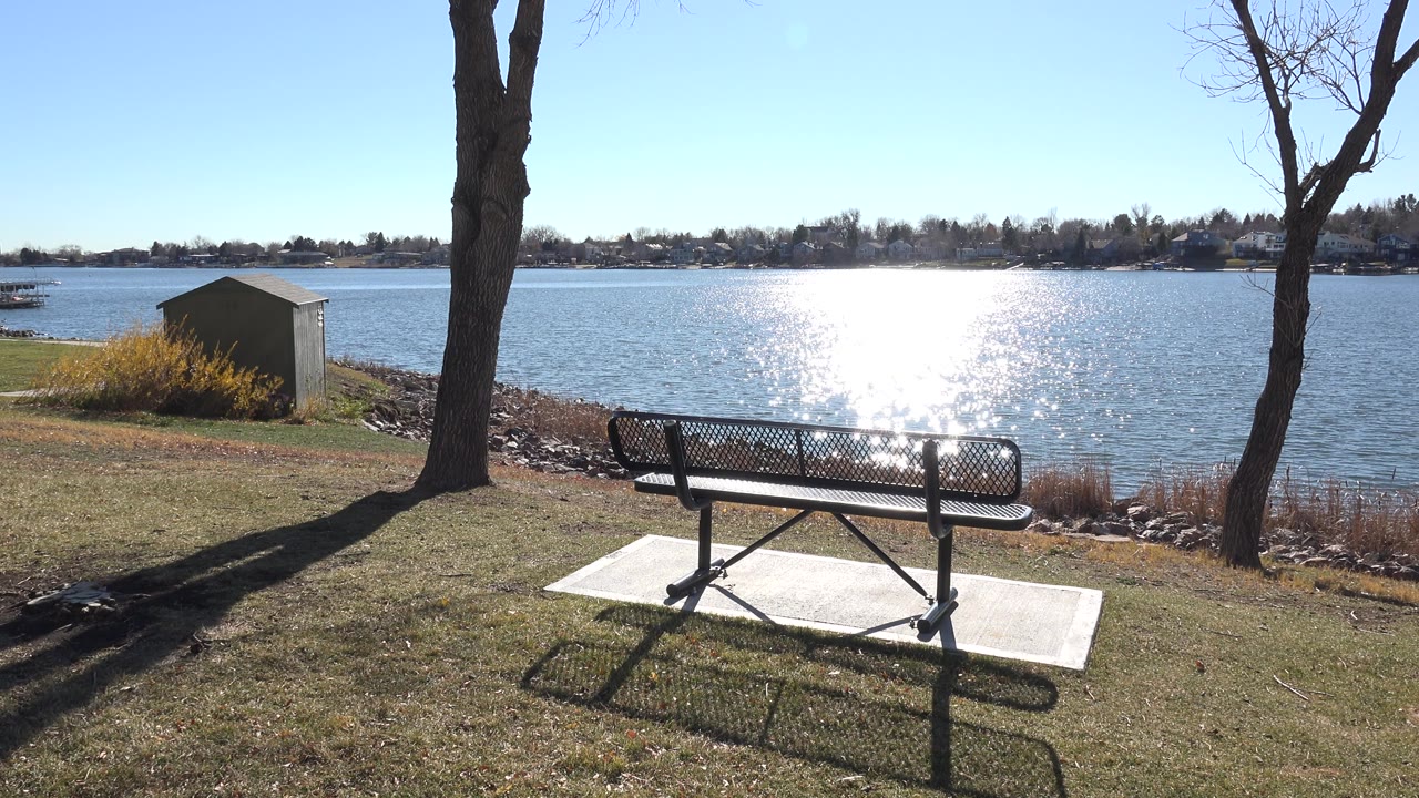 Empty bench beside a sunny lake with trees and grass