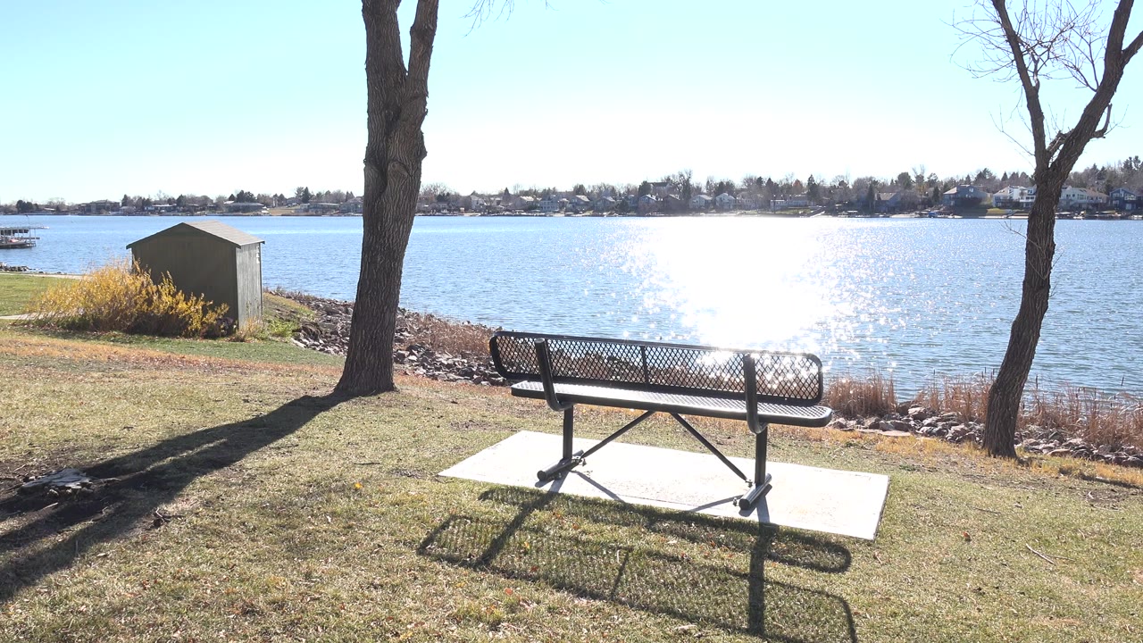 Bench beside a sunny lake with trees and bright water glare.
