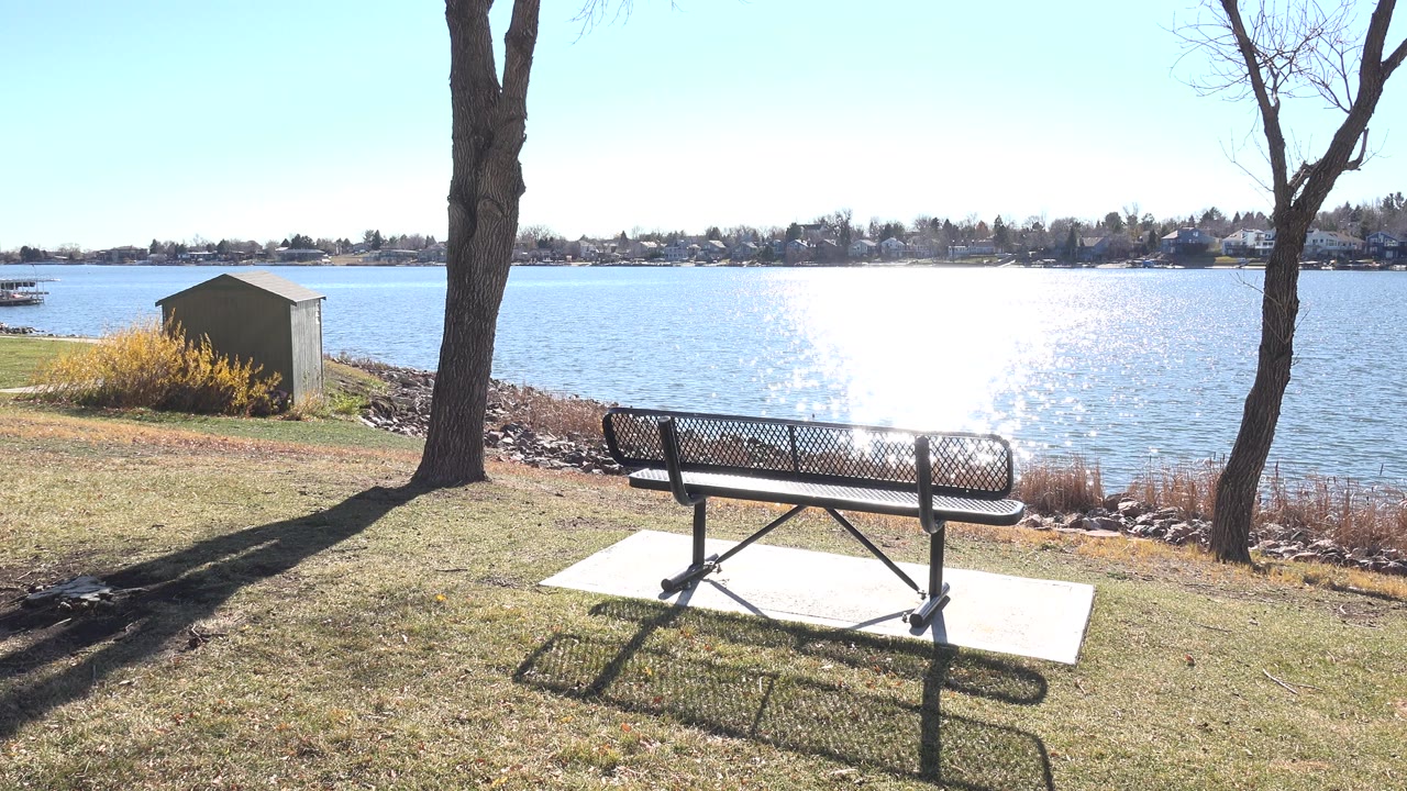 Black park bench facing a bright lake from a grassy shore.