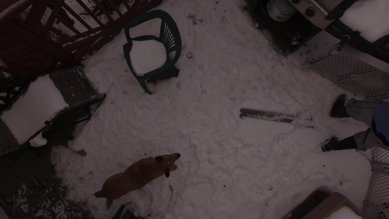 Overhead view of a snowy residential front space with patio furniture and a brown dog.