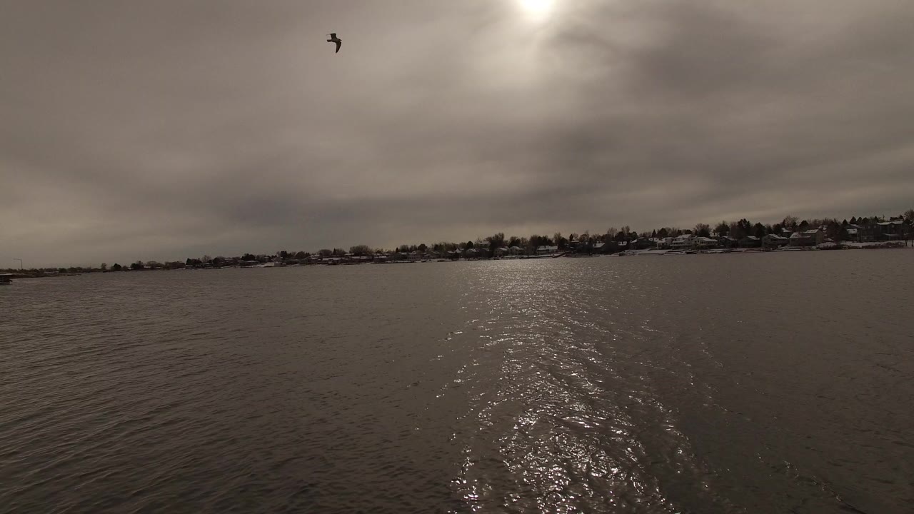 Wide water view with cloudy sky, sun reflection, distant shoreline, and a bird overhead.
