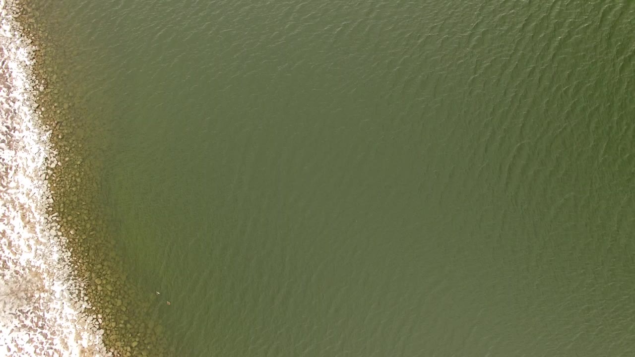 Overhead green water with a white foam band along the left edge.