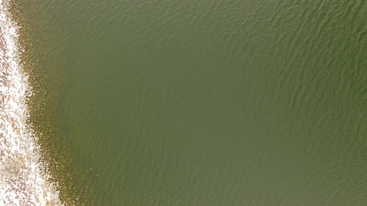 Aerial frame over green water in Jefferson, Colorado, where a narrow white foam line runs near the center and no visible people appear.