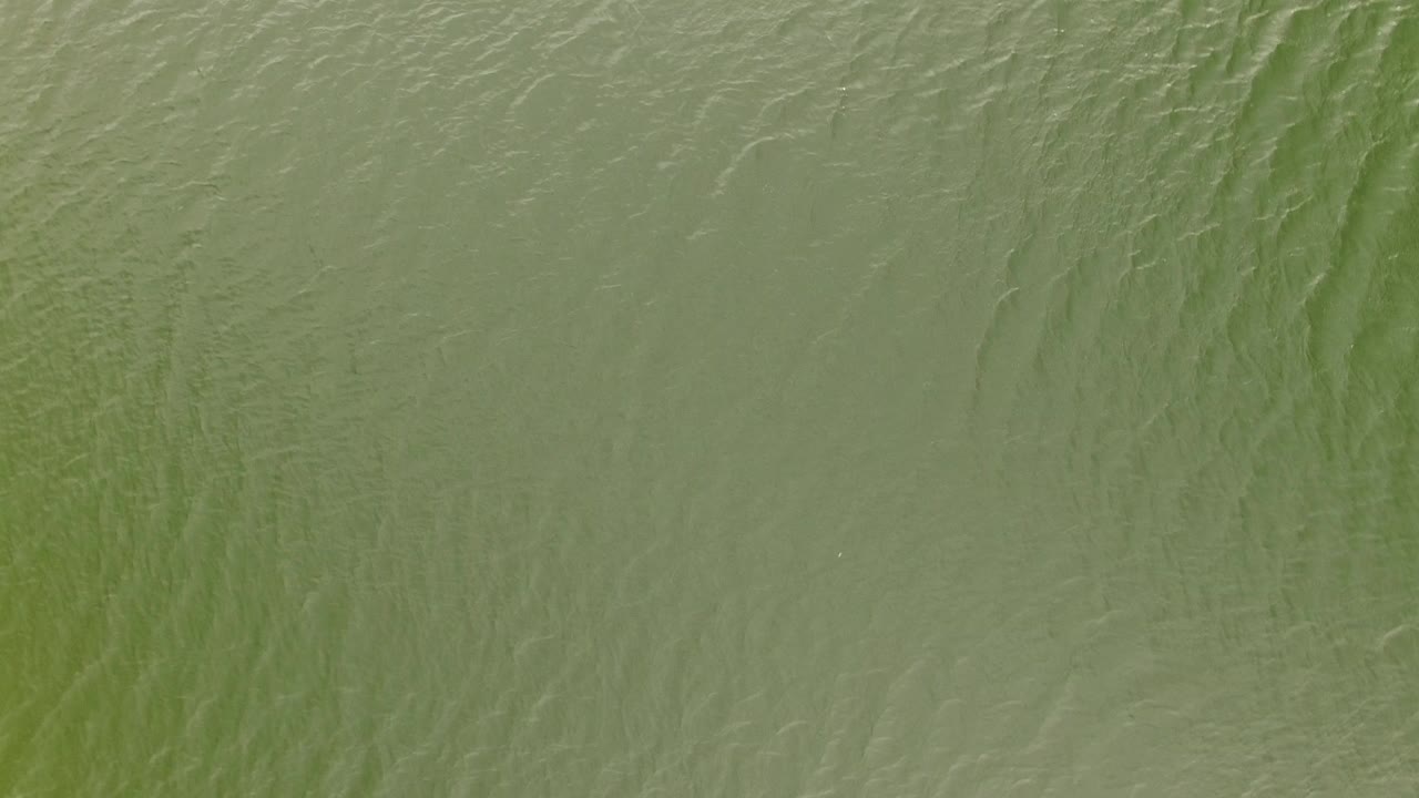 Green-tinted water surface in Jefferson County, Colorado, with small ripples and faint reflected streaks, no visible people.