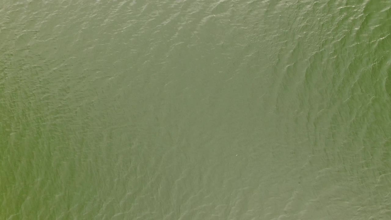 Close view of green rippled water