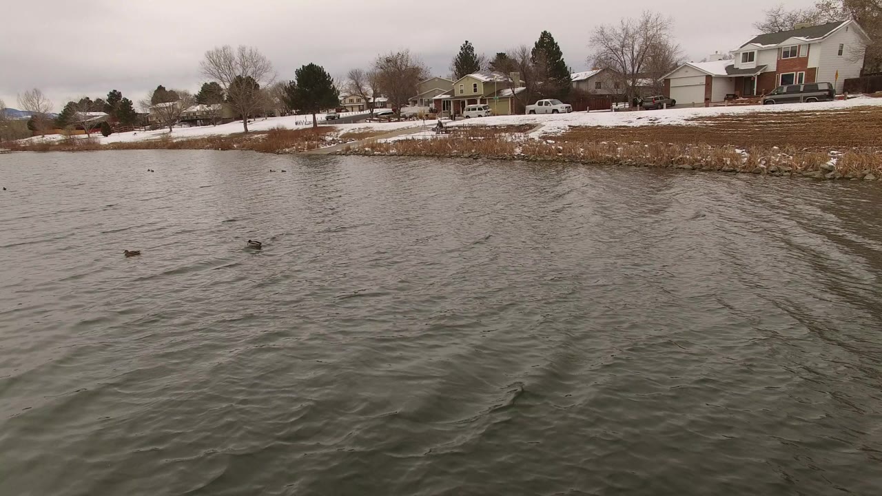 Rippling lake with waterbirds near a snowy residential shoreline.