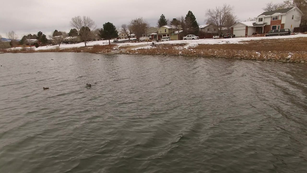 At 0:01 in Jefferson, Colorado, gray-green lake water and a few small birds sit below a snowy residential bank with bare trees, parked vehicles, and no visible people.