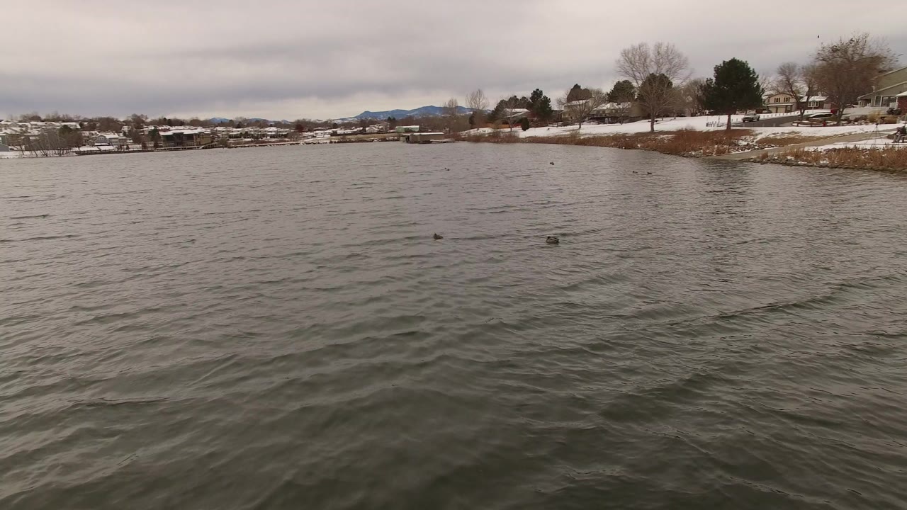 Rippling lake water with ducks and a snowy shoreline