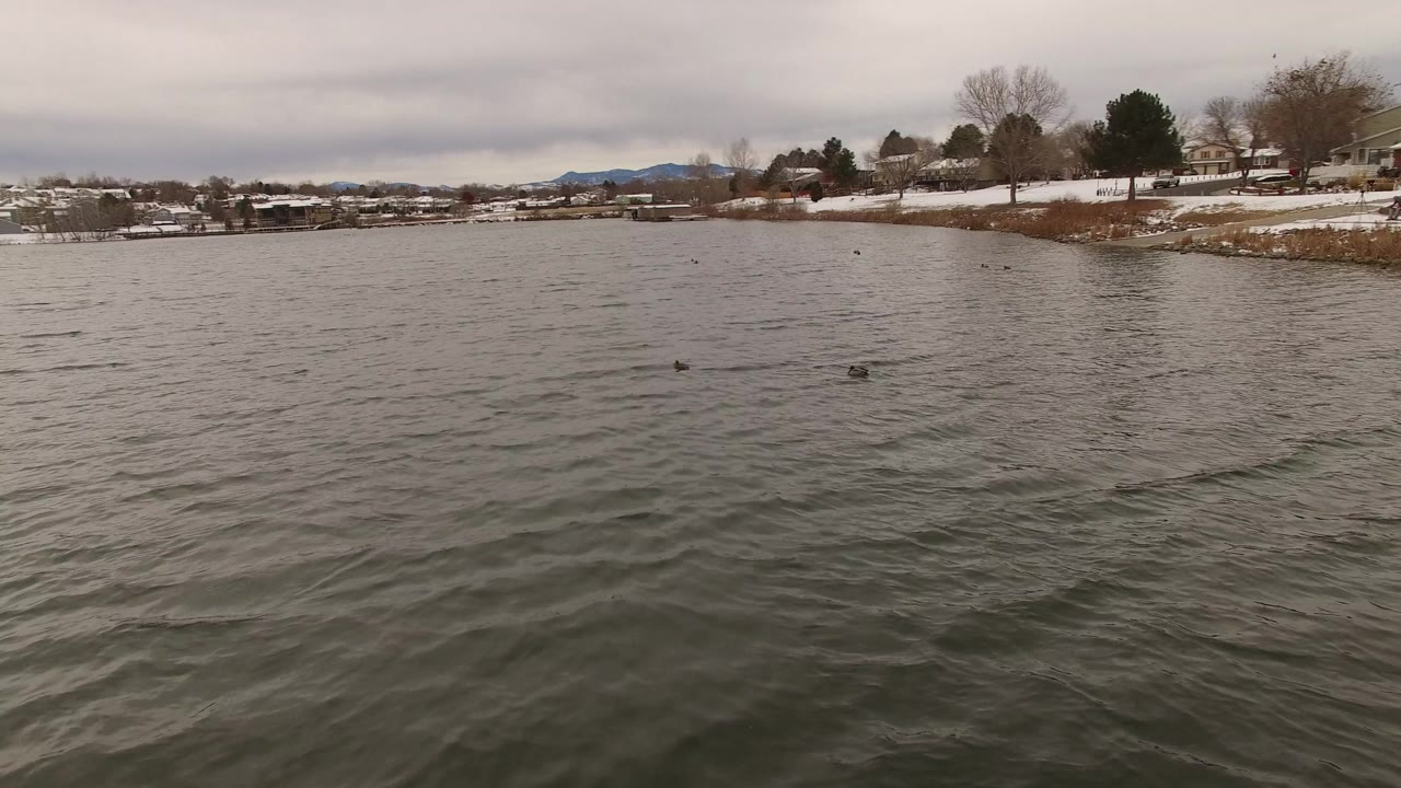 Ducks sit farther apart on the gray water in Jefferson County, Colorado, with small waves in the foreground, snow patches on the bank, distant houses, and no visible people.