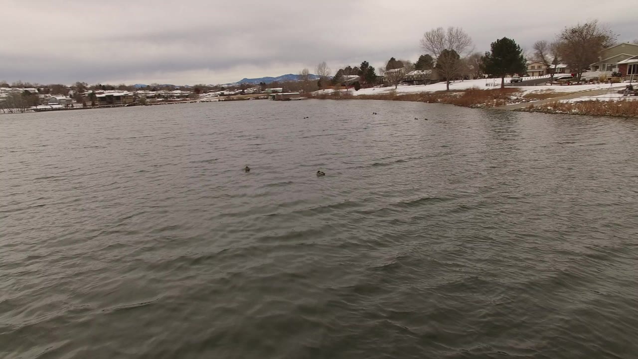 Jefferson County, Colorado lake view at the start of the clip, with gray rippled water, a few ducks, snow on the far bank, homes, leafless trees, and no visible people.