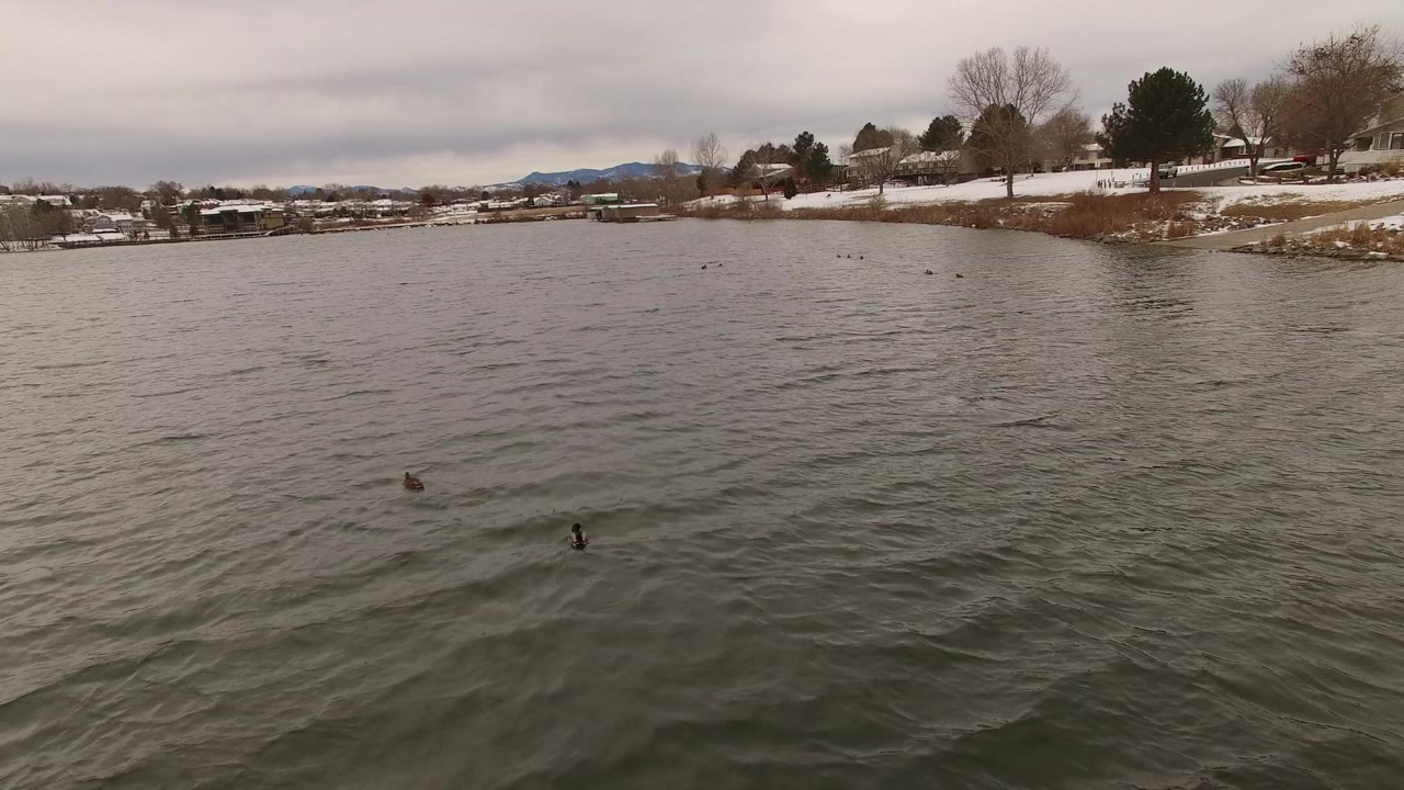 Two dark ducks sit lower in the frame on rippled water in Jefferson, Colorado, while snow, houses, docks, and bare trees line the distant bank with no visible people.