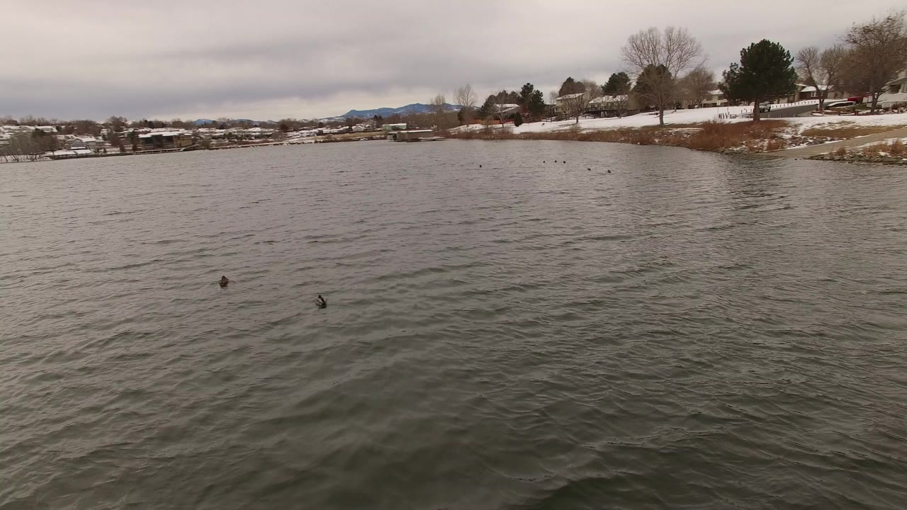 Opening frame of a Jefferson County, Colorado lake with gray rippled water in the foreground, a snow-lined shore with trees and homes beyond it, and no visible people.