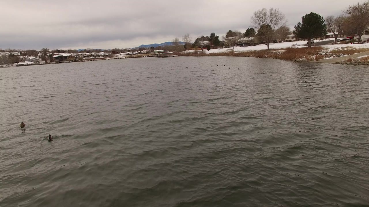 Wide aerial view over rippled water in Jefferson County, Colorado, with a snow-lined residential shore, bare trees, evergreens, low hills, and no visible people.