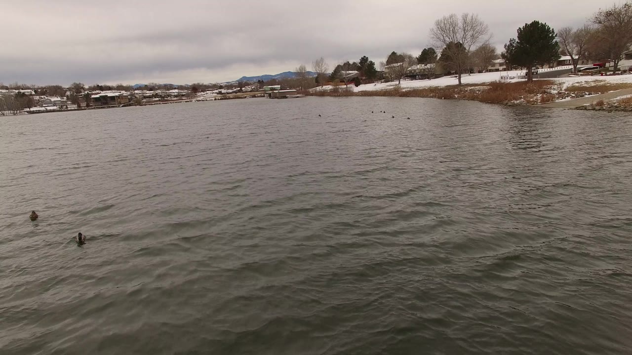 Aerial frame over dark gray water in Jefferson County, Colorado, with two ducks near the foreground, snow on the bank, houses and trees beyond, and no visible people.