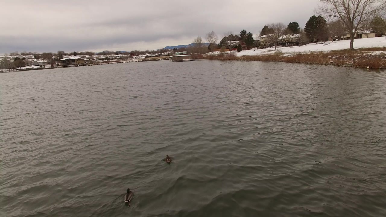 Rippling lake water with snow-covered shoreline and homes in the distance.