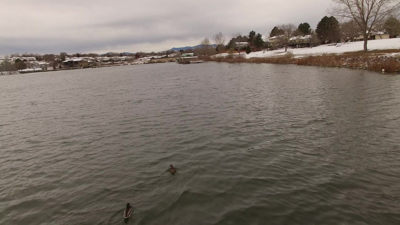 The lake surface fills most of the frame in Jefferson County, Colorado, with two small waterfowl near the lower edge, a snowy shoreline, docks, houses, and no visible people.