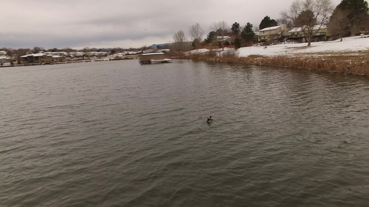 Overcast lake water with snowy residential shoreline and docks