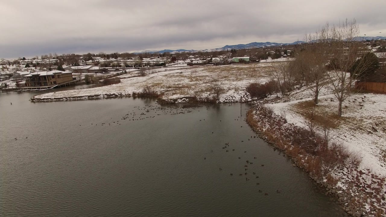 Snowy lake shoreline with bare trees and distant houses under gray clouds.