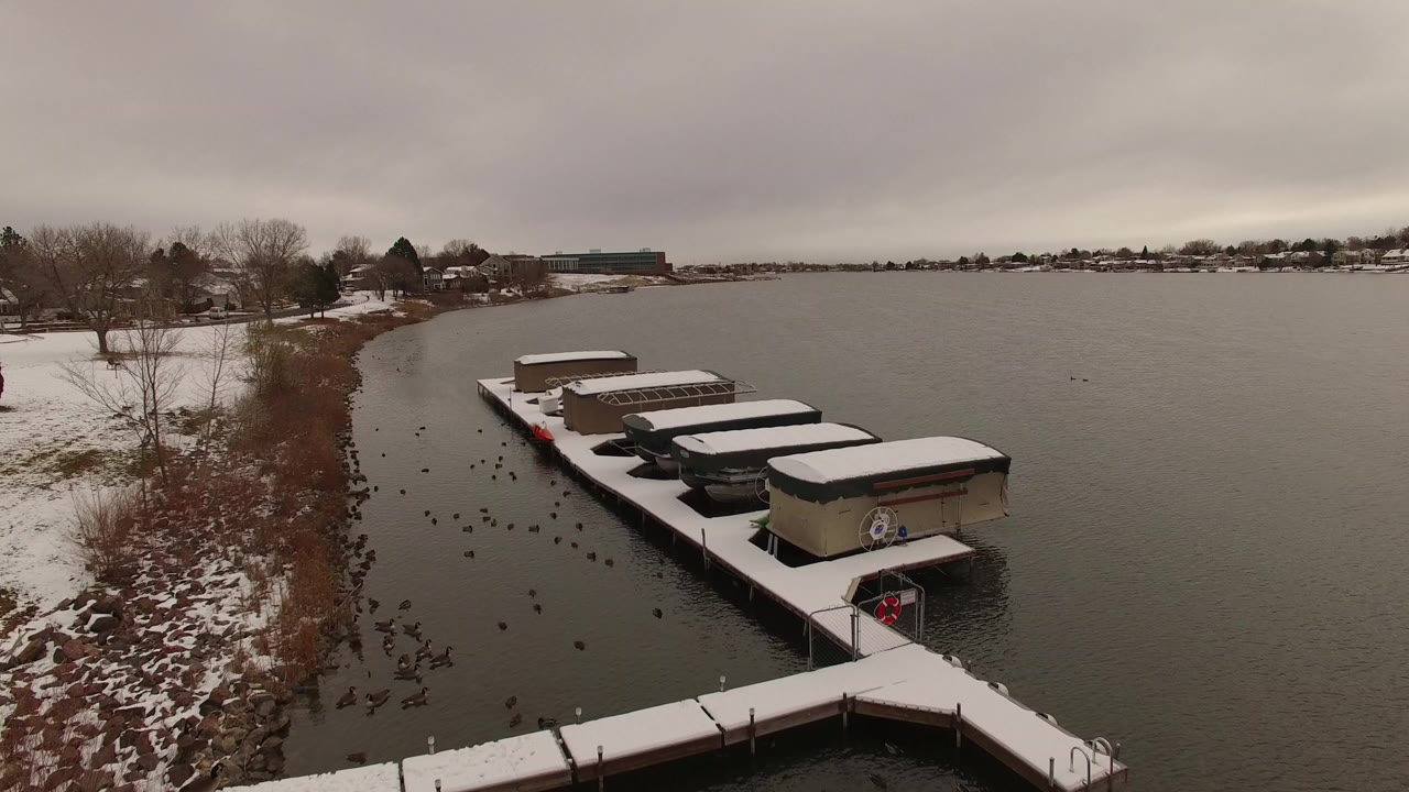 Opening frame of a Jefferson County, Colorado lake marina with snow on the docks and shoreline, waterfowl near the left bank, bare trees, distant homes, and no visible people.