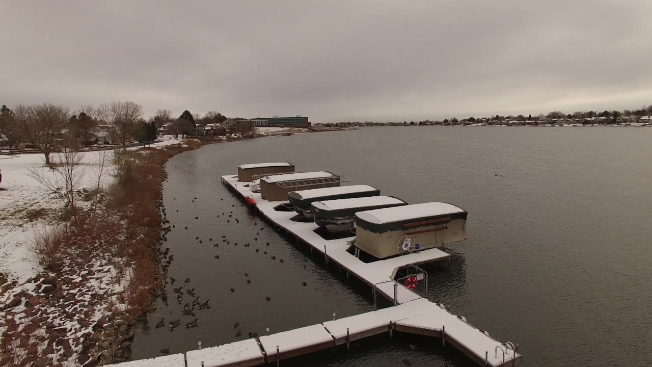 Jefferson County, Colorado winter marina seen from above, with white dock surfaces, small covered structures, birds scattered near the shoreline, and no visible people.