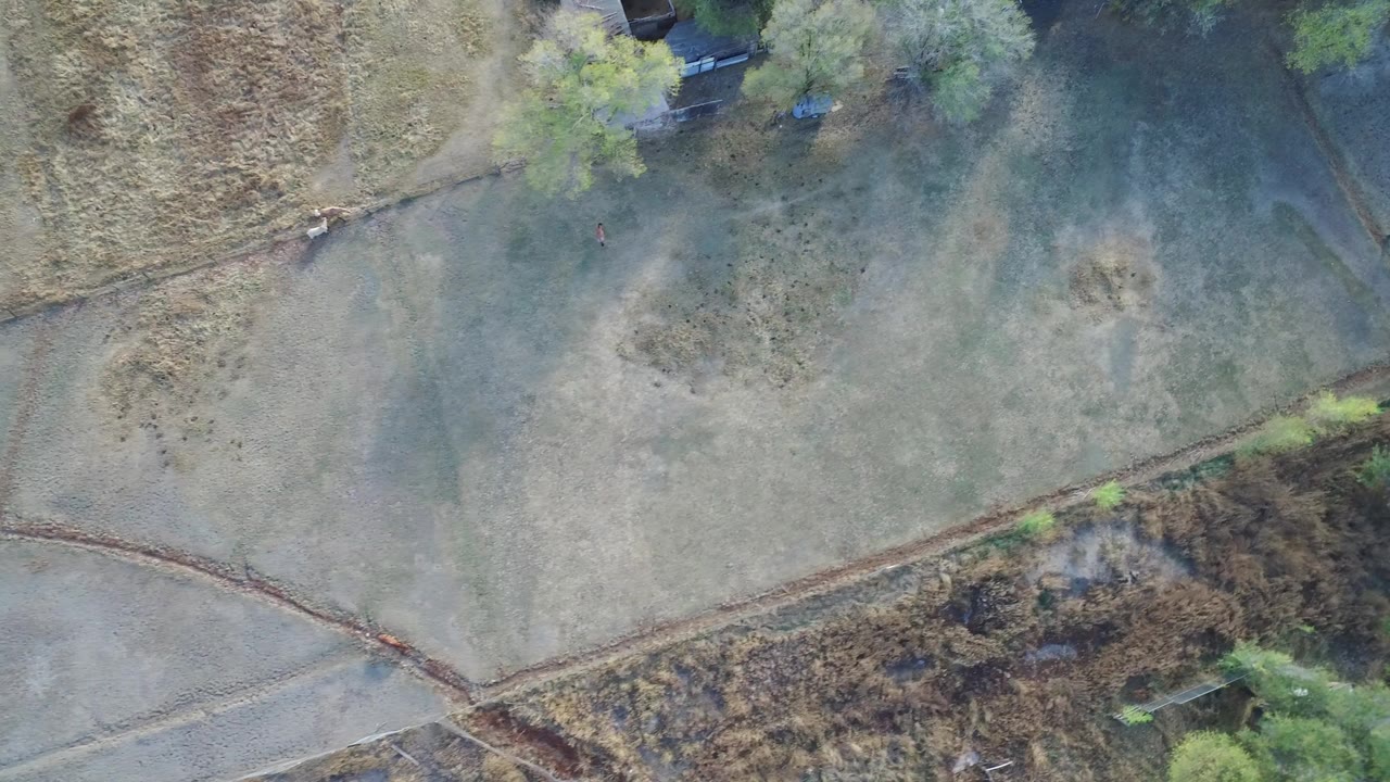 High overhead view in Hidden Lake, Colorado showing pale concrete paths crossing grass, brown brush, and trees near the frame edges, with no visible people.