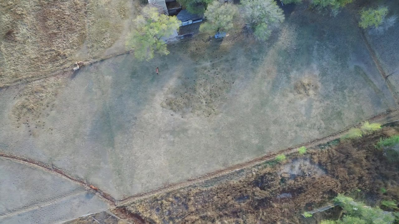 Concrete walkway curving through grass beside trees