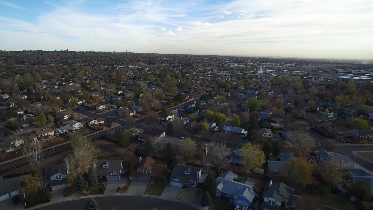 Aerial view over suburban houses, trees, and streets under a pale sky.