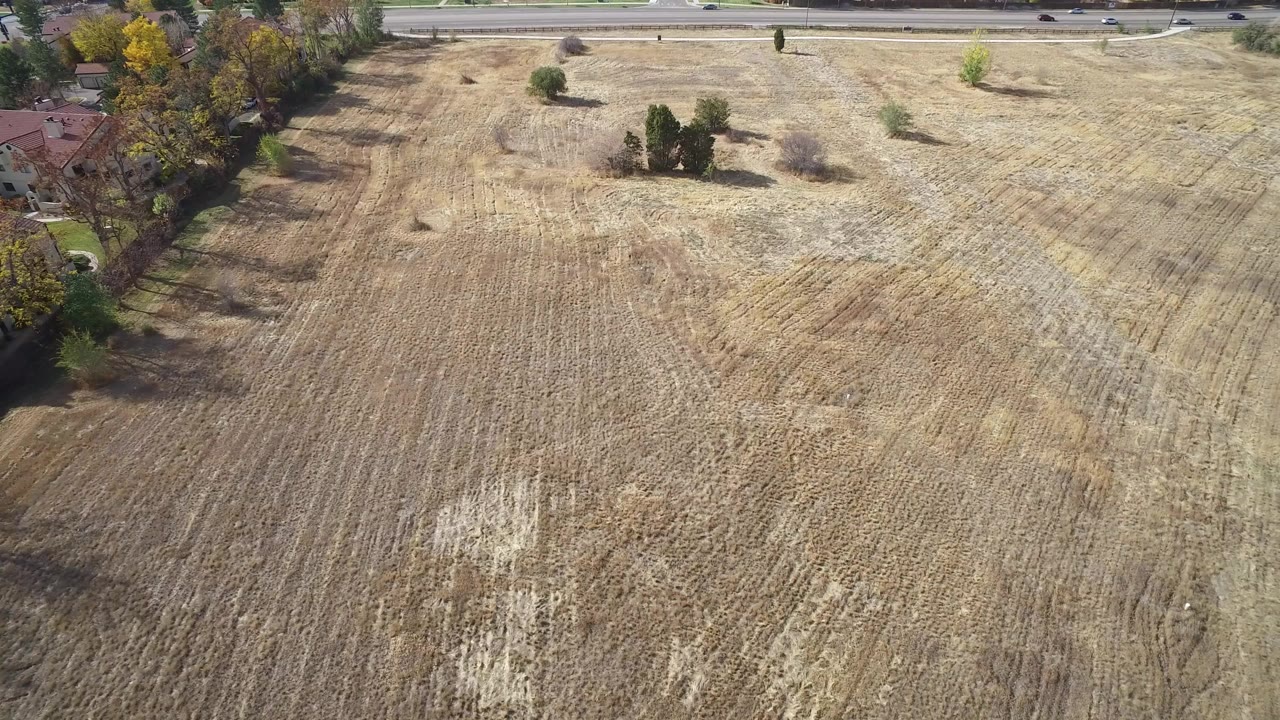 Aerial view over a dry field with scattered trees and a road at the top.