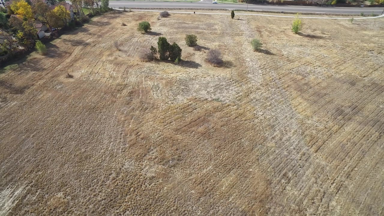 High view of empty tan field with shrubs, trees, and a road beyond the grass.