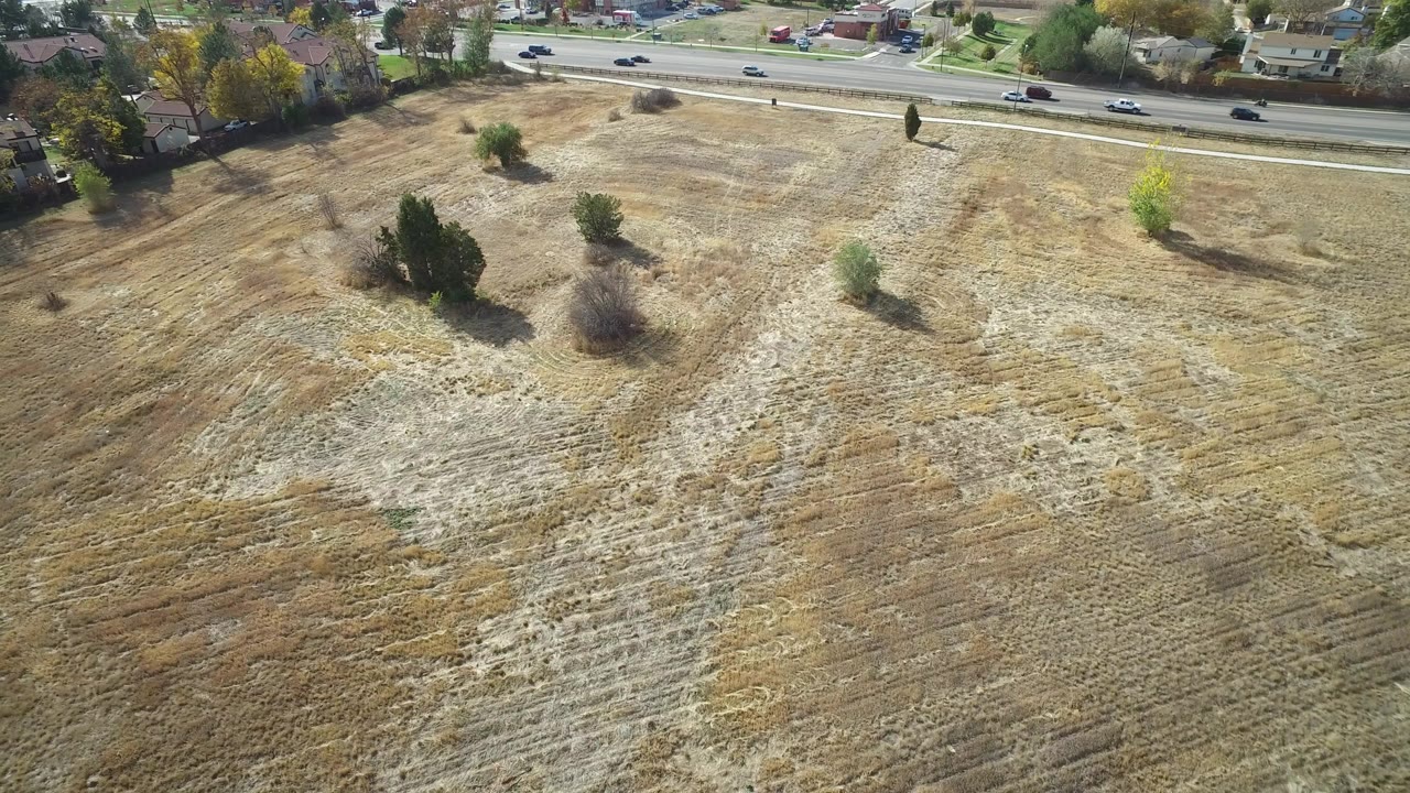 Aerial view of field trees with a highway and homes across the upper frame.