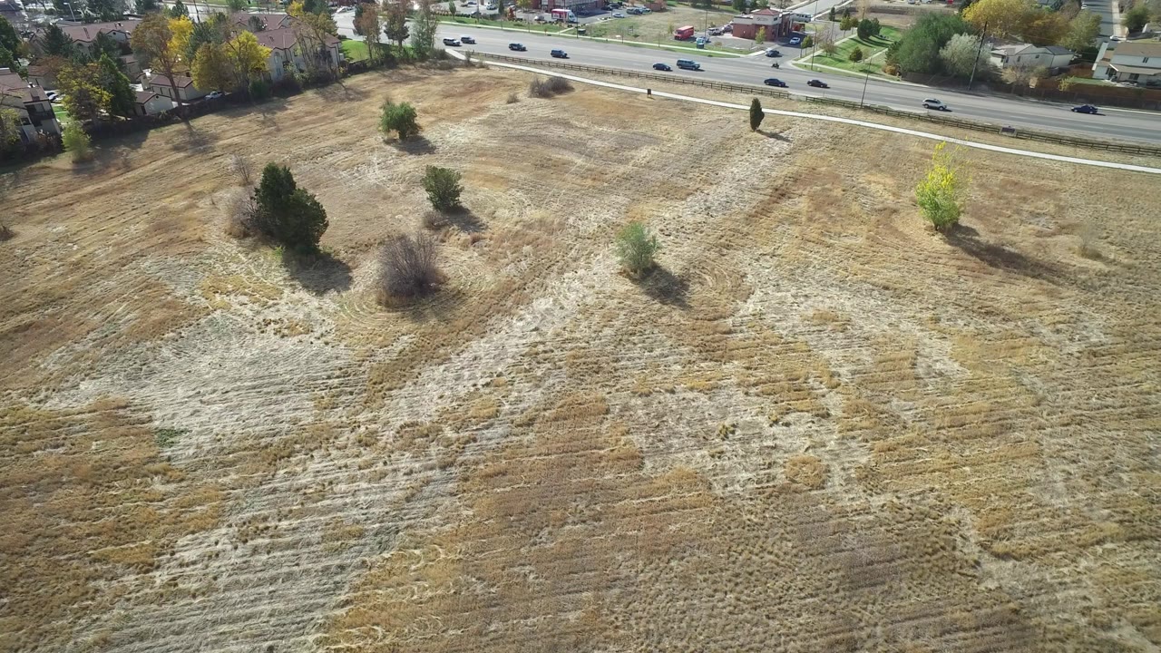 Aerial view in Hidden Lake, Colorado, with tan grassland in the foreground, a few isolated trees casting shadows, homes beyond the road, and no visible people.