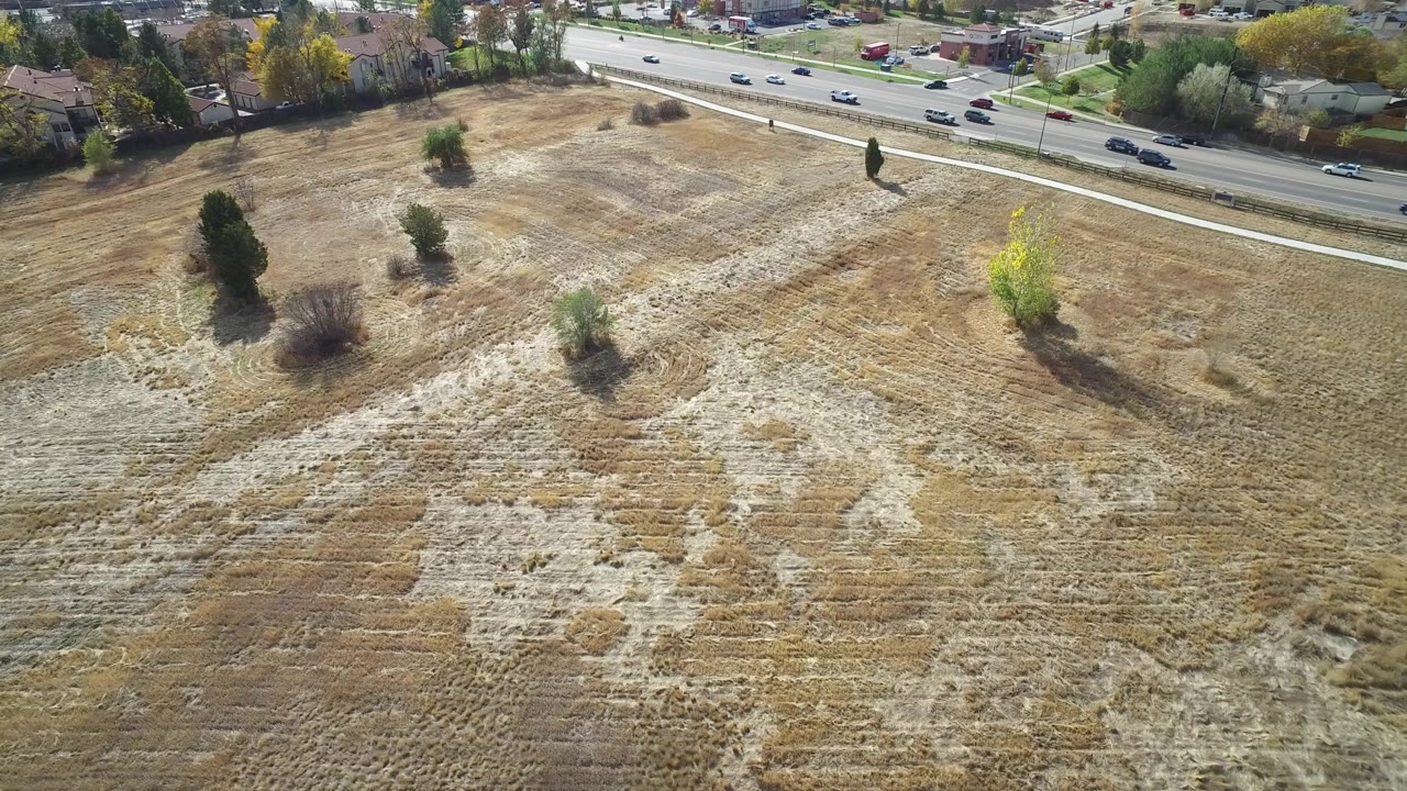 Aerial view over a tan field in Hidden Lake, Colorado, with clustered trees, cars traveling on the road at the top of frame, residential buildings beyond, and no visible people.